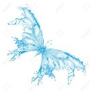 13536557-Water-splash-butterfly-Stock-Vector